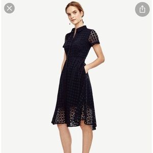 Ann Taylor Navy Eyelet Flare Shirtdress Size 0